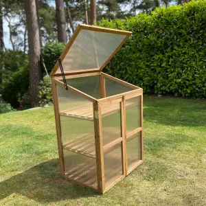 Wooden Framed Polycarbonate Growhouse Mini Greenhouse