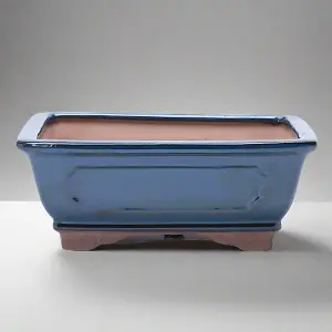 18cm Glazed Bonsai Pot - Rectangle - 18cm x 15cm x 6cm - Blue