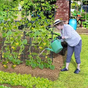 Costway 187cm Tall Garden Trellis for Cucumber Climbing Plants Vertical Plant Support Stand w/ Netting