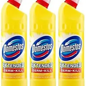 Domestos Citrus Bleach 750ml (P) (Pack of 3)