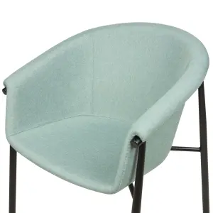 Set of 2 Dining Chairs AMES Mint Green