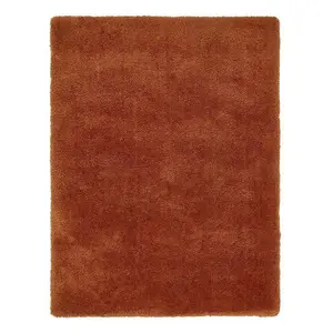 Spice Shaggy Modern Plain Easy to clean Rug for Dining Room Bed Room and Living Room-80cm X 150cm