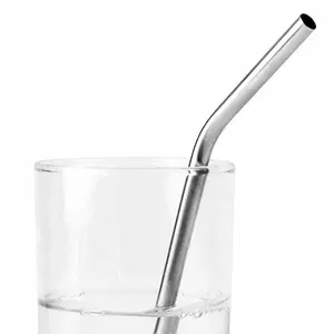 Stainless Steel Drinking Straws Re-usable 6 Pack