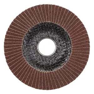 Sealey 80 Grit Flap Discs Aluminium Oxide 115mm 22mm Bore 10 Pieces FD11580E10