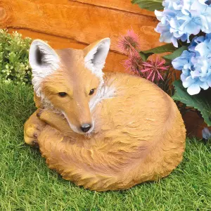 Curled up Fox Ornament - Weather Resistant Hand Painted Outdoor Garden Animal Sculpture Statue Decoration - H21 x W30cm x D24cm