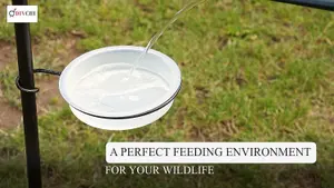 DIVCHI Bird Feeder With 2 Dishes, Bird Feeders Hanging Station, Bird Feeder Pole, Bird Feeding Station