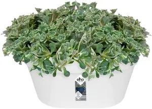 Elho Loft Urban Wall Basket Plastic Plant Pot 40cm in White