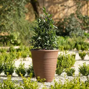 Primrose Tall Round Planter in Rust 48.5cm