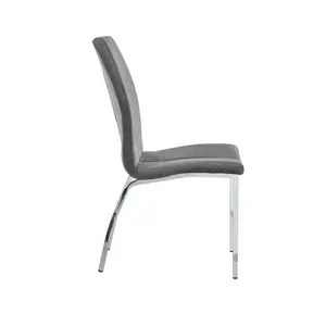 Knudsen Velvet Upholstered Side Chair (Set of 2) Grey