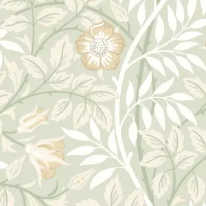 Hoopla Walls Rosehip Trail Sage Green Smooth Matt Wallpaper