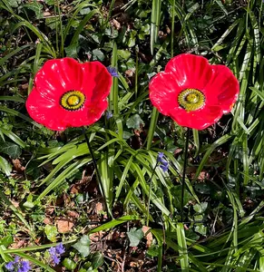 Cast Iron Poppy Dish Wild Bird Feeders (Set of 2)