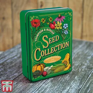 Green Seed Storage Tin 214mm x 157mm x 55mm x 1