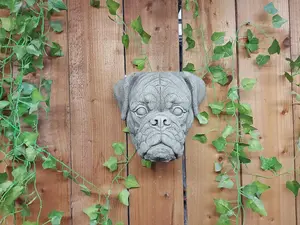 Boxer Dog Head Stone Wall Plaque