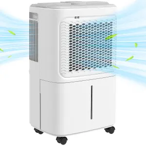 HOMCOM 12L/Day Small Dehumidifier for Home Damp, with Humidity Light