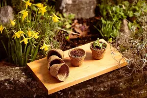 COCO & COIR Biodegradable Round Plant Pots  14cm  6 pack  Plastic Free Eco-friendly Propagation Pots