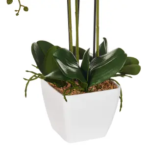 Artificial Plant ONCIDIUM ORCHID White