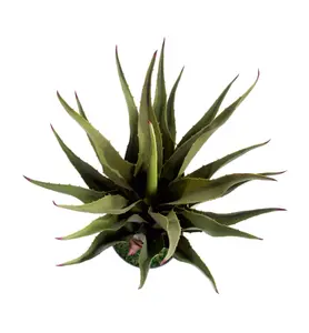 Best Artificial 2ft - 70cm Aloe Vera Plant