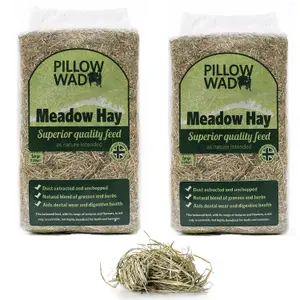 2 Bags 2.25kg Dried Grass Natural Feed Fresh Meadow Hay For Small Animals Perfect For Rabbit Food