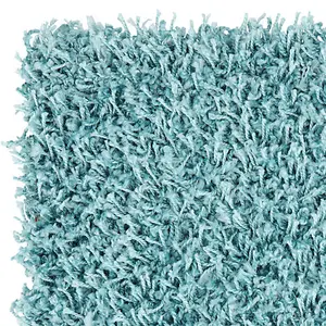 Cosy Plush Soft Shaggy Rug,Teal