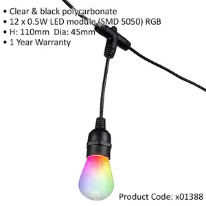 12m Outdoor Garden SMART Festoon Lights - 12 x 0.5W RGB LED Bulbs - IP44 Rated