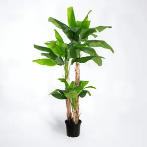 Blooming Artificial - 240cm / 7.75ft Faux Musa Banana Tree