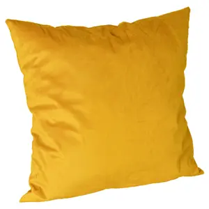 Square Velvet Cushion - 55cm x 55cm