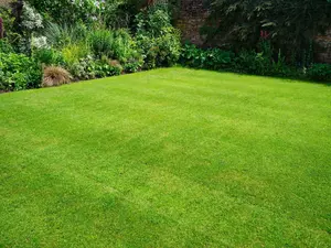 Super Patch Grass Seed With Fertiliser Chatsworth Lawn Repair Coir Mix 600g