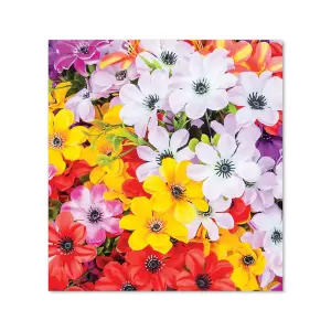 Spring Flowers Premium Glass Kitchen Splashback W600mm x H650mm