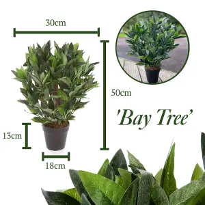 Best Artificial 2ft/50cm Dwarf Bay Tree Potted Laurel Plant for Outdoor Garden