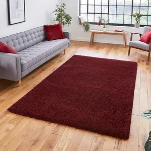 Ruby Plain Shaggy Modern Plain Easy to Clean Rug Soft For Dining Room -80cm X 150cm