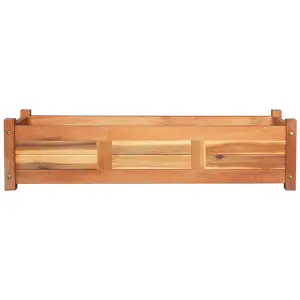 Berkfield Garden Raised Beds 2 pcs Acacia Wood 100x30x25 cm