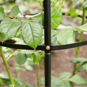 1.9m Garden Steel Obelisk Support Frame