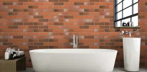 Ibstock Alderley Cottage Blend Brick 65mm Mini Pack 250