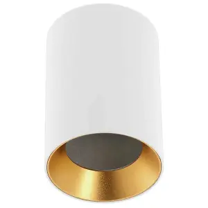 CGC White Indoor Ceiling Spotlight With Inner Gold Reflector