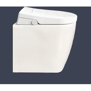 Bidet shower toilet: Floor standing back to wall