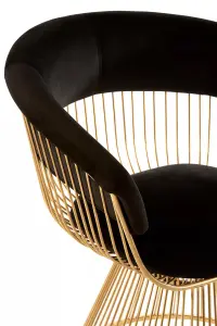 Interiors by Premier Elegant Black Velvet And Gold Finish Chair, Durable And Sturdy Dining Chair, Versatile Breakfast Room Chair