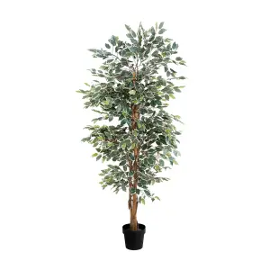 Blooming Artificial - 150cm / 5ft Variegated Fake Ficus Tree