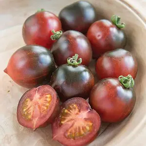 Tomato Indigo Cherry Drops 1 Seed Packet