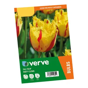 Tall Tulip Double Party Clown 10 Flower bulbs