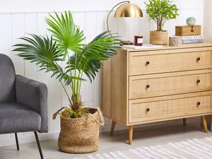 Artificial Plant FAN PALM Green