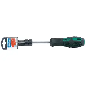 Draper PZ Type General Purpose Screwdriver, No.2 x 100mm 40038