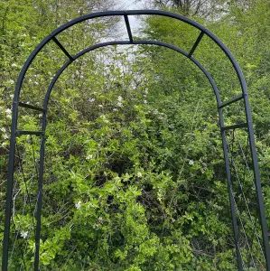 Metal Knightsbridge Garden Arch Climbing Plant Friendly