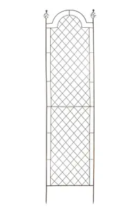 Scroll Garden Wall Trellis Climbing Plant Support Frame Extra Large (H)200cm