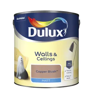 Dulux Walls & ceilings Copper blush Matt Emulsion paint, 2.5L