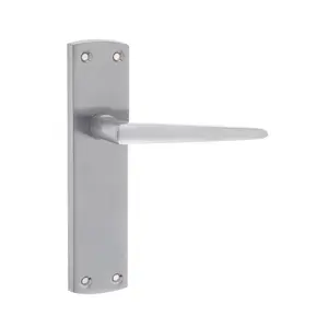 Bray Door Handle (Set of 2) Satin Chrome