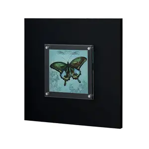 Interiors by Premier Butterfly 1 Framed Wall Art