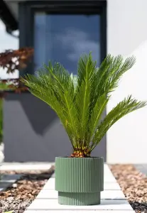 Plant Pots Flower Planter 7 Colours 2 sizes Tall Wavy Plastic Pot Boho Elegant Pine green 30cm - 17L