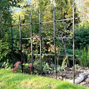 Garden Trellis for Climbing Plants 6ft / 180x150cm High - Metal Rose Fence & Free Standing Screen for Borders Edging Plant Support