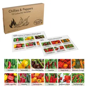 Pronto Seed Bumper Chillies & Pepper Seed Variety Pack. 12 Varieties, Over 110 Seeds