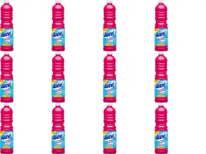 Asevi Mio Pink 1 Litre Floor Cleaner (Pack of 12)